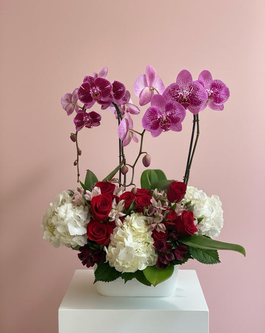 The Bloom Ritual | MONTHLY Subscription | One Delivery Per Month