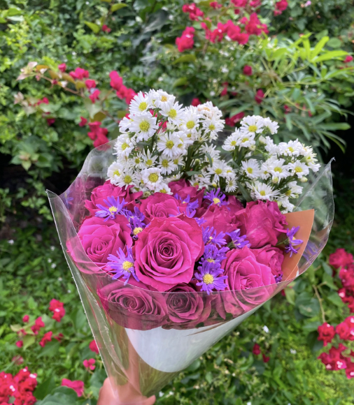 (1) Dozen Colored Roses