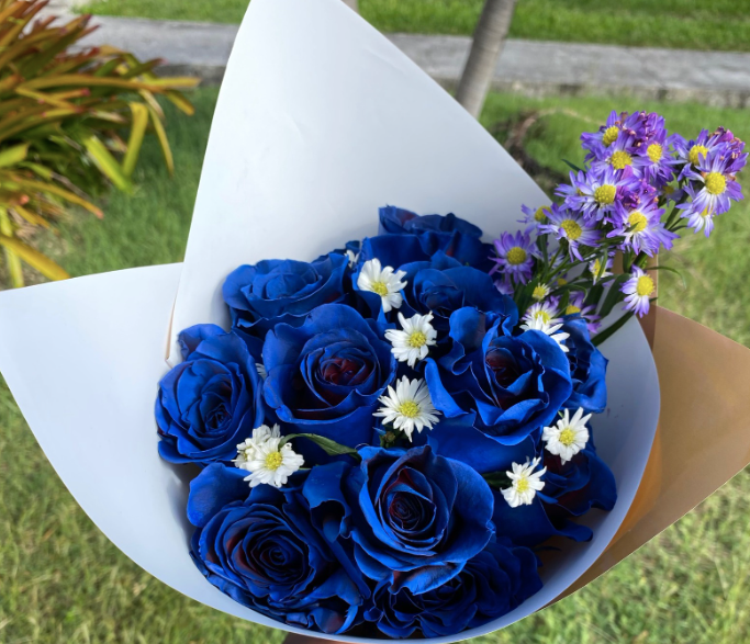 (1) Dozen Colored Roses